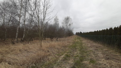 Działka Sprzedaż Karwowo
