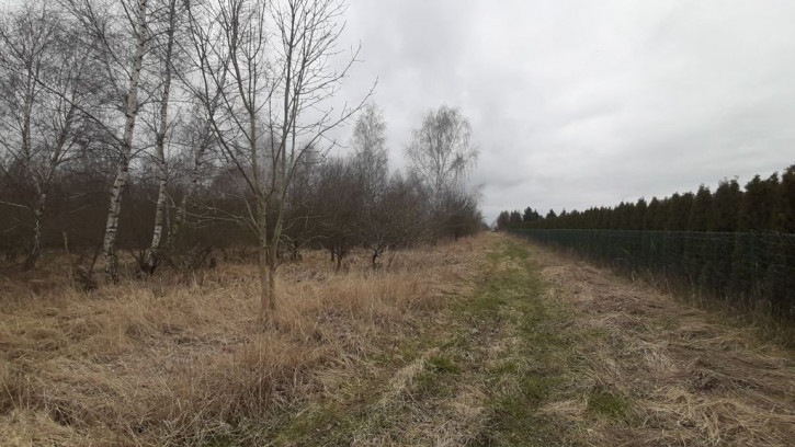 Działka Sprzedaż Karwowo 1