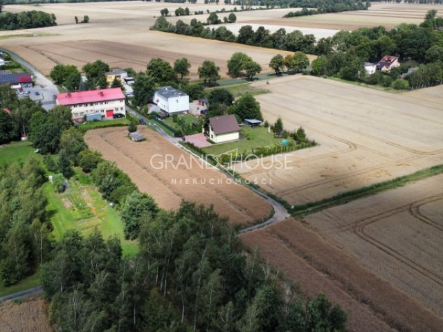 Działka Sprzedaż Warnice