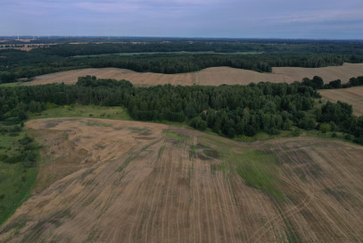 Działka Sprzedaż Prusinowo