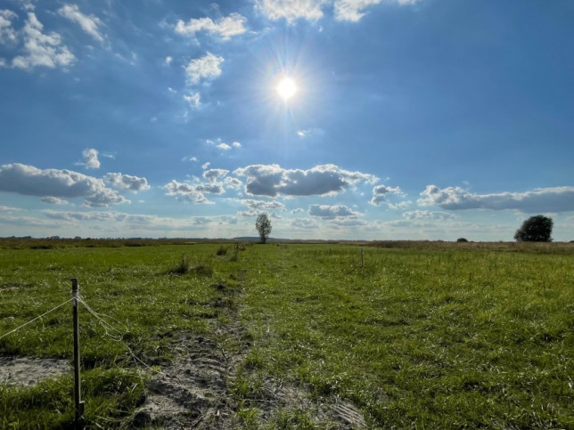 Działka Sprzedaż Wierzbno 7