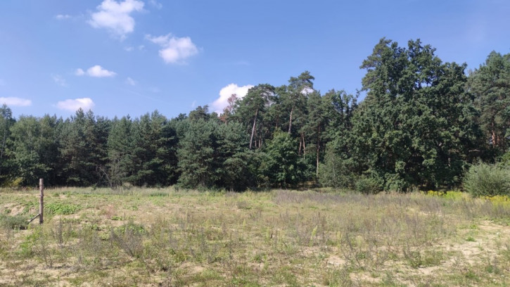 Działka Sprzedaż Kościno 1