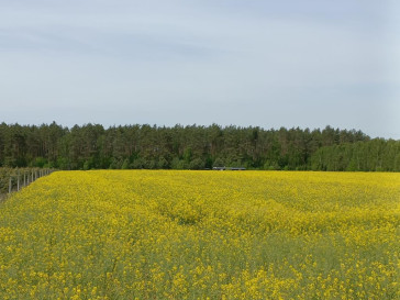 Działka Sprzedaż Stawno