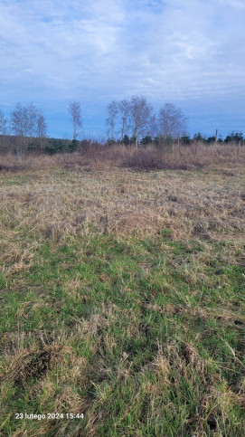 Działka Sprzedaż Zieleniewo 5