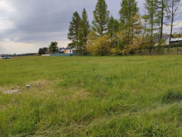 Działka Sprzedaż Białuń Jaśminowa
