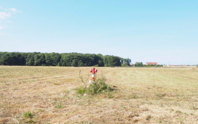Działka Sprzedaż Śliwin